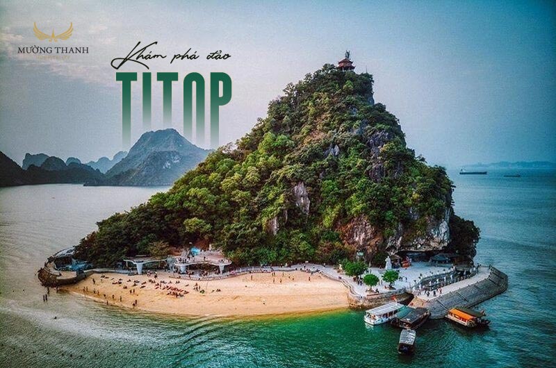 dao-titop